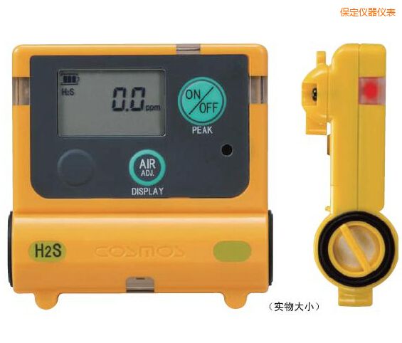保定硫化氫計(jì)