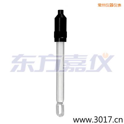 常州玻璃外殼無溫補(bǔ)兩線電導(dǎo)率電極