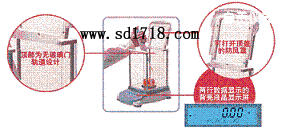 ��ؕ���M(j��n)����ƽ,110g,0.0001g